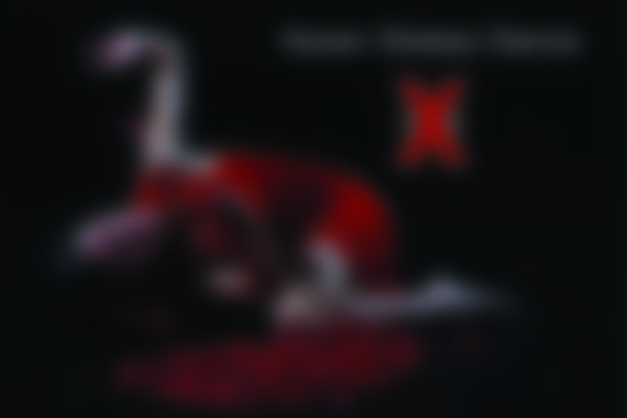 Karen Stokes Dance - X20
