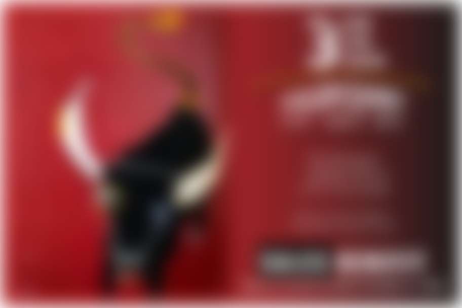 Three For The Show Benefiting Rescued Pets Movement MATCH