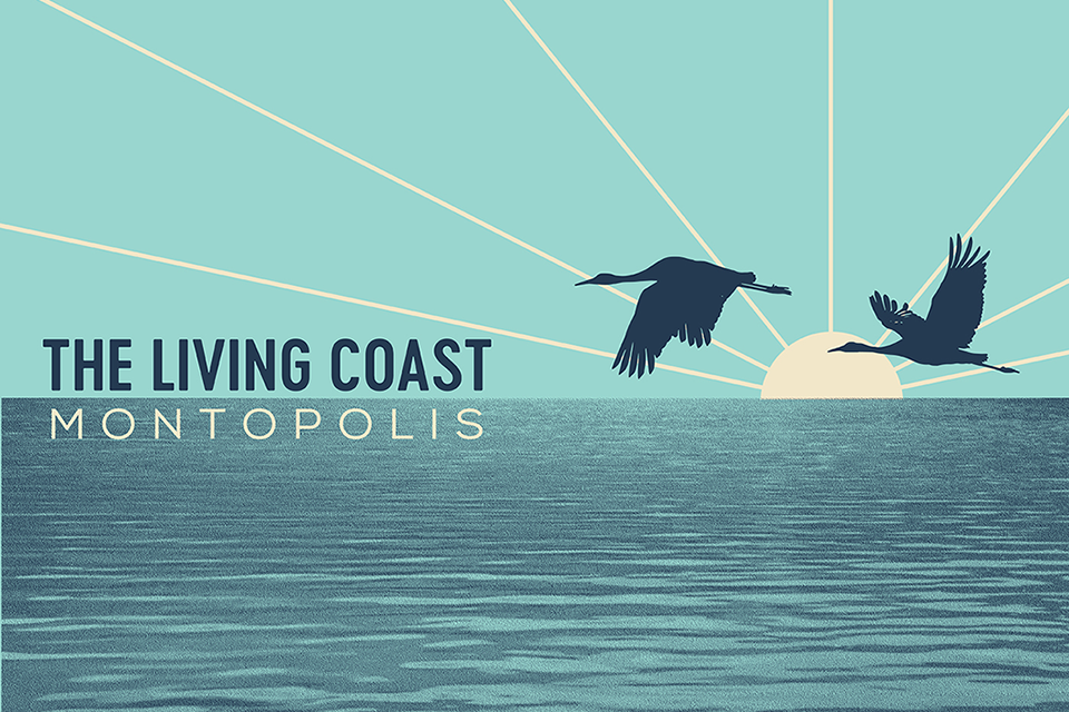 Montopolis - The Living Coast