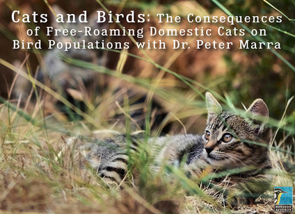 Houston Audubon - Cats and Birds