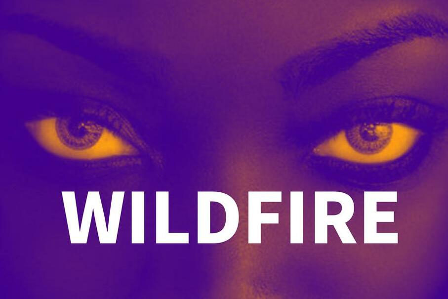 Wildfire MATCH wildfire-match