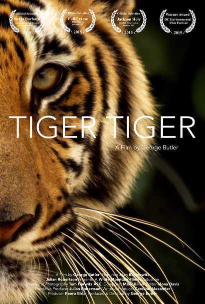 FotoFest - Tiger Tiger