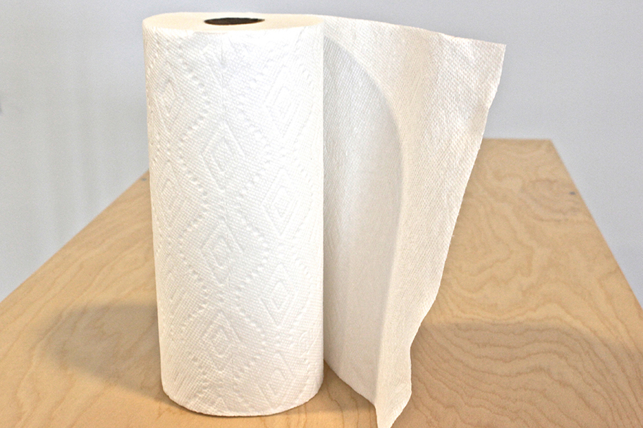 DiverseWorks - We Are Paper Towel