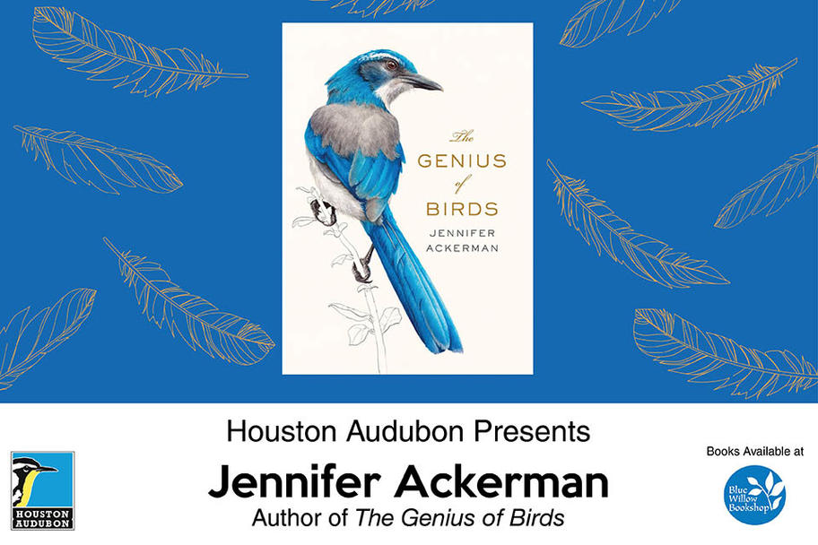 Houston Audubon - The Genius of Birds