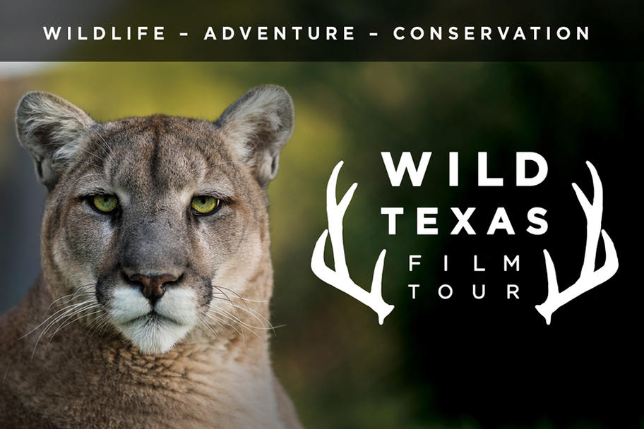 Wild Texas Film Tour