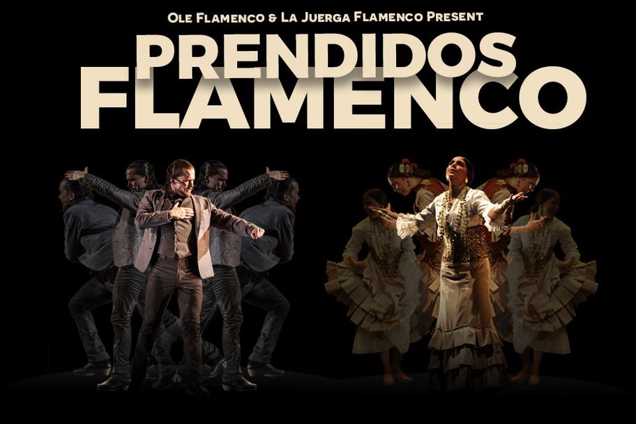 Ole Flamenco - Prendidos Flamenco