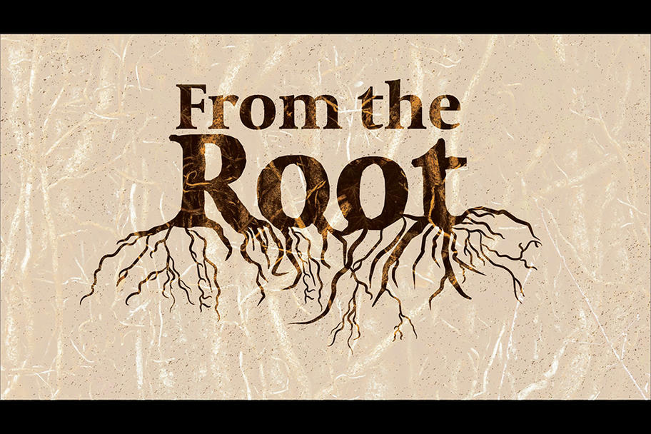 TRUTH Project - From the Root