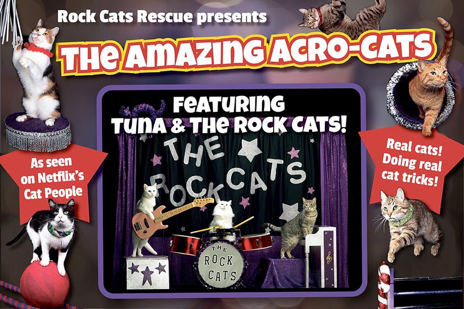 The Amazing AcroCats MATCH The Amazing AcroCats MATCH