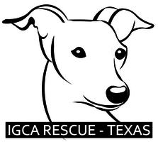 Italian Greyhound Rescue Foundation - Logo