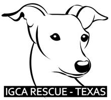 Italian Greyhound Rescue Foundation - Logo