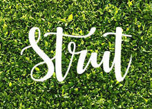 Strut logo